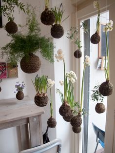 hanging plants and flowers in pots on the side of a window sill with chairs