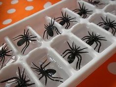 an ice tray filled with black and white spider decorations