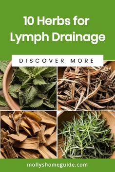 herbs for lymph drainage