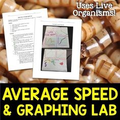 an image of a pile of wood beads with text that reads average speed and graphing lab