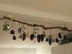 pine cones are hanging from a branch with lights