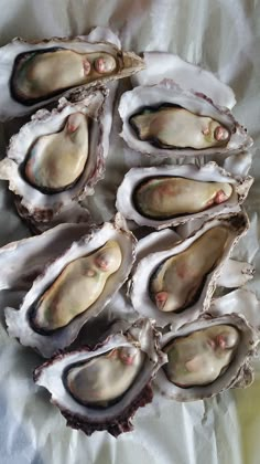 several open oysters sitting on top of a table