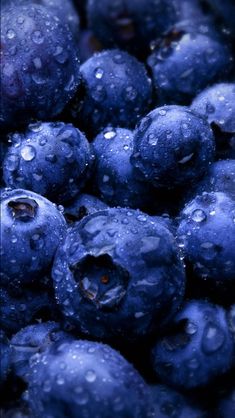 blueberries with the words 11 amazing health benefits of blueberries on it's cover