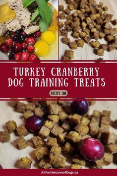 Festive Turkey Cranberry Dog Training Treats Recipe - All For the Love of Dogs Cranberry Dog Treats, Dog Training Treats Recipe, Cranberry Treats, Turkey Cranberry, Healthy Dog Treats Homemade, Dog Treats Homemade Recipes, Dog Training Treats, Treat Recipes, Healthy Dog Food Recipes