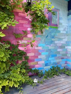 an outdoor area with colorful painted brick walls and wood flooring, plants growing on the wall