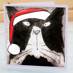 a black and white cat wearing a santa hat