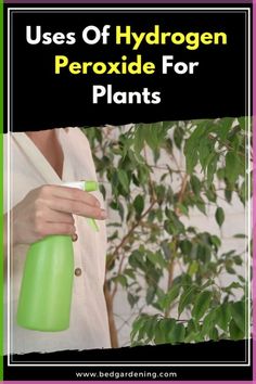 a woman holding a green spray bottle with text overlay that reads uses of hydrogen peroxide for plants