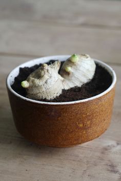 two pieces of food in a bowl on a wooden table with some dirt and green sprouts