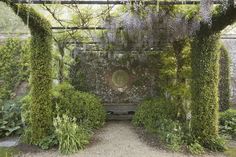 an old bench surrounded by greenery in a garden