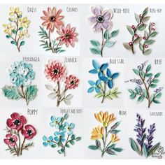 the different types of flowers are shown in this image, and each flower has its own name