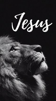 a black and white photo of a lion with the words jesus on it