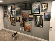 a dog standing in front of a wall with posters on it's sides and a door to the other side