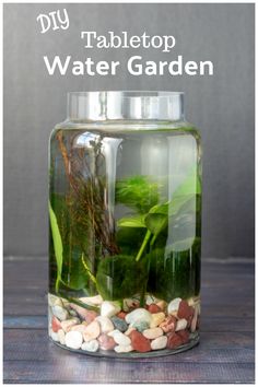 a glass jar filled with rocks and plants