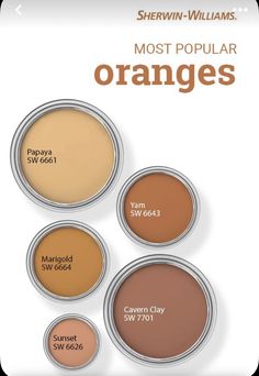 the most popular oranges from sherylin - williams's cosmetics and other brands