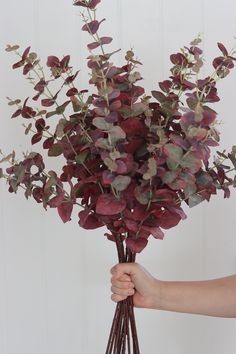 a person holding a bunch of purple flowers in their hand with white wall behind them