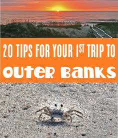 a crab on the beach with text overlay reading 20 tips for your 1st trip to outer banks