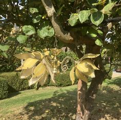 a tree with some yellow flowers hanging from it's branches