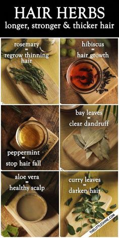 Hair Herbs, Regrow Thinning Hair, Herbs For Hair Growth, How To Darken Hair, Homemade Hair Treatments, Herbs For Hair