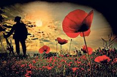 a man standing on top of a lush green field filled with red flowers under a cloudy sky