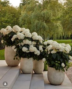 three large vases filled with white flowers sitting on top of a cement slab next to trees