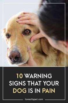 a woman petting a dog with the caption 10 warning signs that your dog is in pain