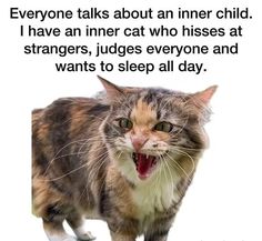 a cat with it's mouth open and tongue out, saying everyone talks about an inner child i have an inner cat who kisses at strangers, judges everyone and wants to sleep all day