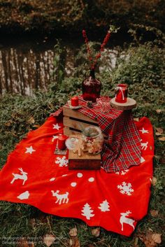 an outdoor picnic with food and drinks on a blanket in the grass near some water