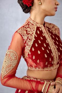 Velvet Blouse Designs Latest, Velvet Choli, Hand Embroidered Blouse, Arabian Dress, Butterfly Net, Silk Velvet Fabric, Indian Bridal Lehenga, Velvet Blouses, Blouse Designs Latest