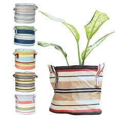 a potted plant sitting inside of a striped bag