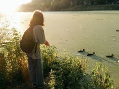 a person standing on the edge of a body of water looking at ducks in the water