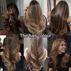 How To Do Low Lights In Hair At Home, Hair Colors For Brown Eyes, Brown Sugar Hair, Rambut Brunette, Hair Inspiration Long, Hair Color Streaks, Brunette Hair With Highlights