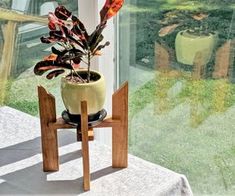 a potted plant sitting on top of a wooden stand in front of a window