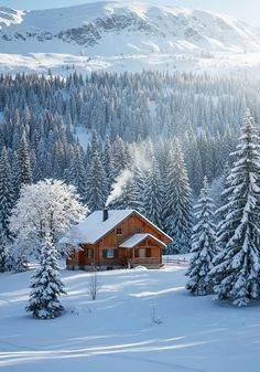 a cabin in the mountains surrounded by snow covered trees and evergreens on a sunny day