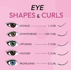 Aesthetician Tips, Eye Shape Chart, Lash Education, Eyelash Studio, Lash Extentions, Eyelash Extension Training, Shape Chart