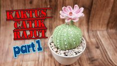 a crocheted cactus in a pot with rocks and pebbles on the ground next to it that says kartus catik rarott part 1