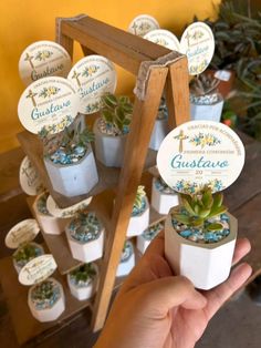 a person holding up a small succulent plant in front of a wooden stand