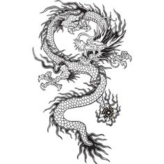 a black and white drawing of a dragon