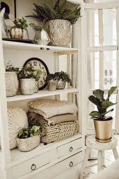 a white shelf filled with lots of plants and potted plants on top of it