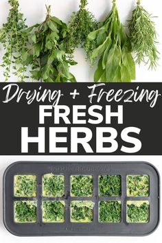 fresh herbs are being prepared in trays with the words drawing and freezing fresh herbs