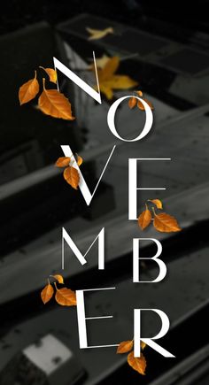 the words november are written in white letters with leaves falling from them on a black background