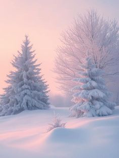 Trees Covered In Snow, Roses In Snow Wallpaper, Snowy Scenes Landscapes, Snow Covered Forest, Winter Scenery Beautiful, Soft Winter Aesthetic, Beautiful Snow Scenes, Snow Scenes Winter Landscape, Snow Landscape Photography