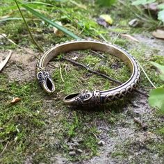 a snake on the ground with its mouth open