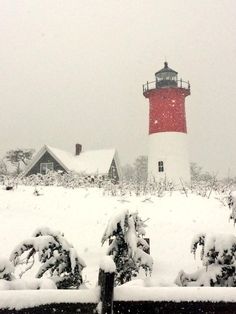 a red and white light house covered in snow next to shrubbery on a snowy day