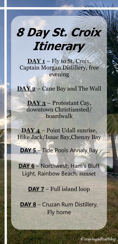 the 8 day st croix itinerary with palm trees and blue sky in the background