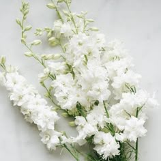 some white flowers are laying on a table