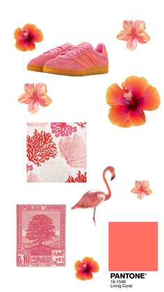 pink and orange shoes, flowers, and stamps with the words pantonee living coral