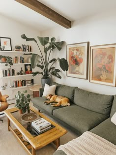 a living room filled with furniture and a dog sleeping on the couch