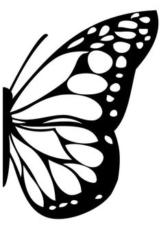 a black and white butterfly with spots on it's wings