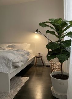 a bedroom with a plant in the corner and a bed on the other side next to it