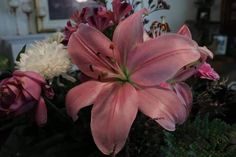 pink and white flowers in a vase on a table